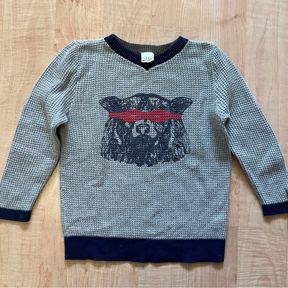 EGG by Susan Lazar sweater. Boys size 5